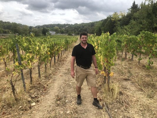 Domaine Maspiquet : Des vins bios aux portes de Montpellier 