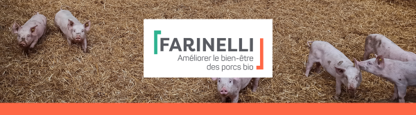 Farinelli - CASDAR sur les alternatives à la castration des porcs bio