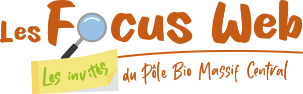 Focus Web
