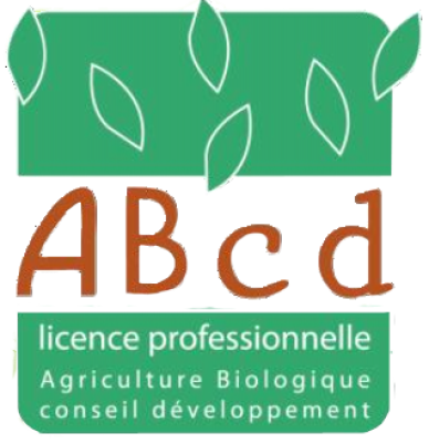 La licence professionnelle ABCD fait son film