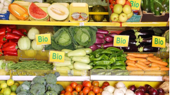 La part des terres cultivées en bio a atteint 10,5 % dans l’UE en 2022