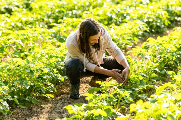 Le bachelor agro Génie agronomique et transitions - parcours CAP AGROBIO ouvre ses portes en septembre 2026 !