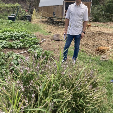 Le Jardin Créole et l’Initiative “Roule ma Poule” : Des Solutions Innovantes pour une Agriculture Biologique au Lycée Agricole de Saint-Paul 