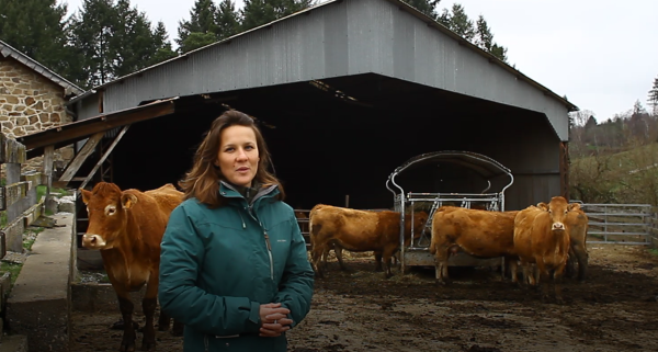 Neuvic : de la viande bio pour les cantines du territoire