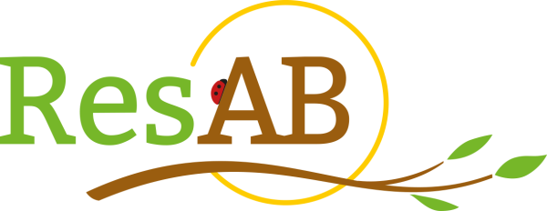 Projet ResAB : on fait le point sur la pédagogie !