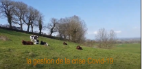 image Aurillac.png (0.9MB)