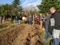 image IMG_20181122_135916_300x225.jpg (96.5kB)