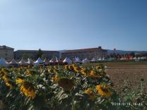 image IMG_20190919_164500.jpg (0.2MB)
