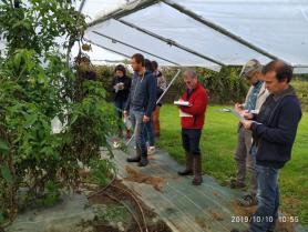 image IMG_20191010_105534_800x600.jpg (0.4MB)