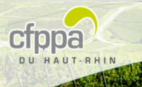 image logo_Rouffach.png (0.1MB)