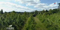 image video_bremontiermerval.png (1.3MB)
